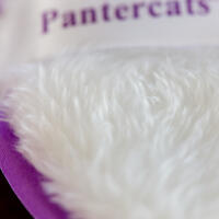 Pantercats make-up removal pads, makeup remover, washable, reusable